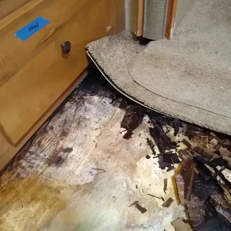 Wood Floor Water Damage in Richardson, TX